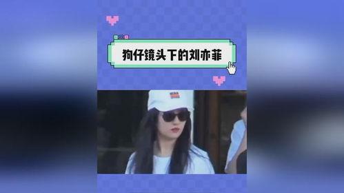 吃瓜娱乐视频网站,带你领略网络娱乐新风尚