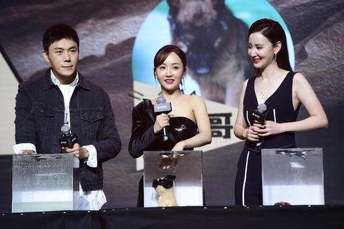 娱乐圈吃瓜事件团体排名,揭秘明星圈层背后的风云变幻