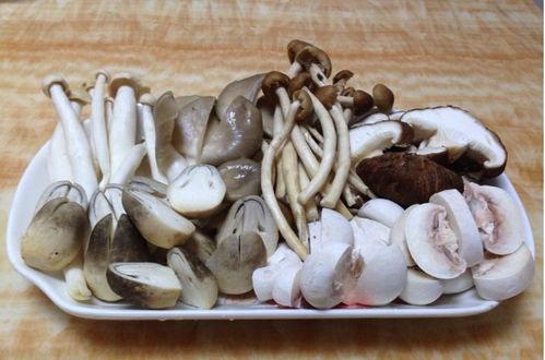 蘑菇视频爆料黑料吃瓜,揭秘娱乐圈黑料，吃瓜群众狂欢时刻