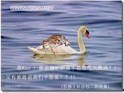 天鹅娱乐资讯吃瓜